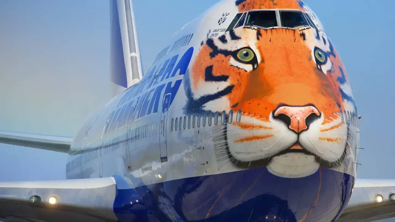Ein riesiges Flugzeug mit einem beeindruckenden Tigergesicht als Bemalung. Der Tiger blickt wachsam in die Ferne.