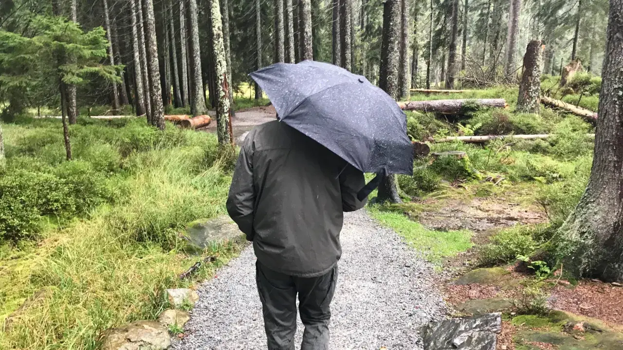 Mann mit Regenschirm im Wald. Die drohnen wetter app hat Regen vorhergesagt, also ist er vorbereitet.