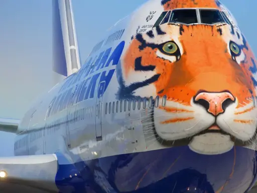 Ein riesiges Flugzeug mit einem beeindruckenden Tigergesicht als Bemalung. Der Tiger blickt wachsam in die Ferne.