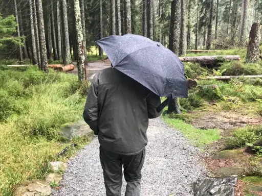Mann mit Regenschirm im Wald. Die drohnen wetter app hat Regen vorhergesagt, also ist er vorbereitet.