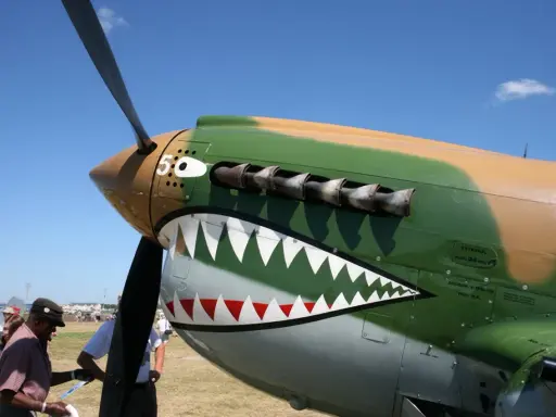 P 40 mit Haifischmaul-Bemalung und Propeller vor blauem Himmel.
