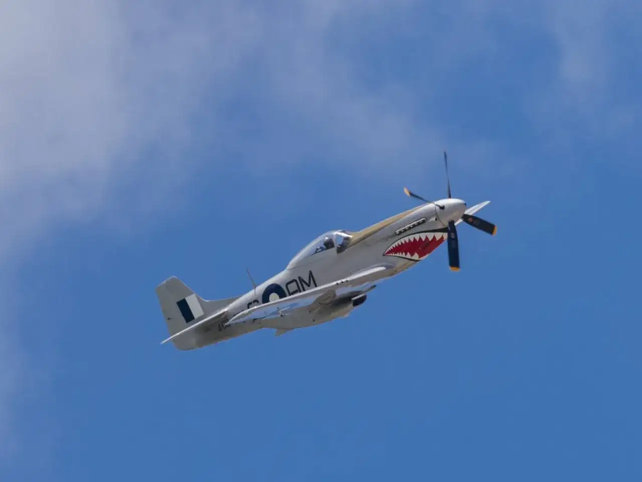 Ein Mustang Flugzeug mit Haifischmaul-Bemalung fliegt im blauen Himmel.